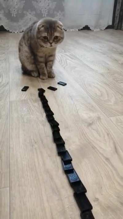 “Did I do that?”