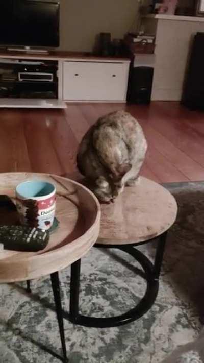 Is there a sub for a very sneaky kitty