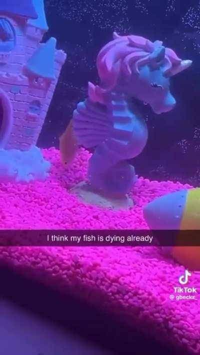 How does this happen lol