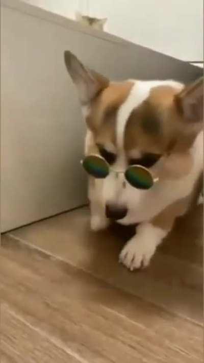 Hello everyone!👋🏼