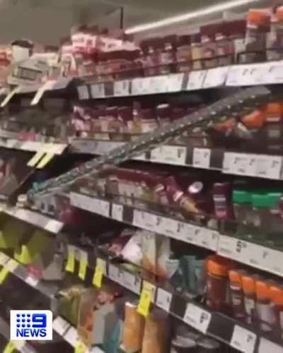 SSSSSSSSSSSSSSSSpice Section