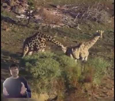 International Geographic Channel 