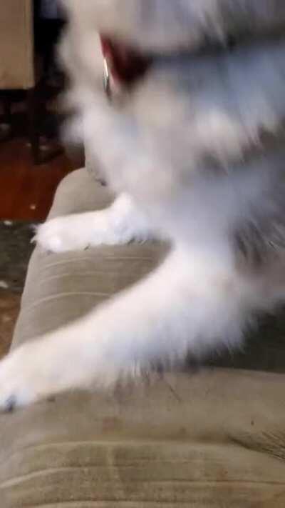 Lakota talking! Bulliets buddy!