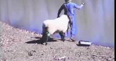 That was a very calculated move