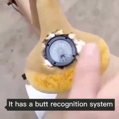Butt recognition