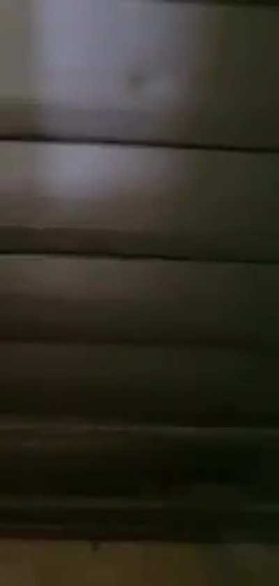 هجوم شرطة و مدنين الاحتلال على بيت فلسطيني في حيفا