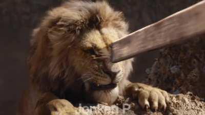 When a lion meets a warthog