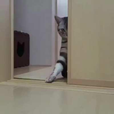 Heeere human human, c'mere human c'mere