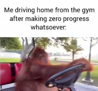 I will be back tomorrow