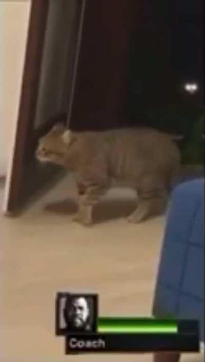 That lil’ jockey bastard is around