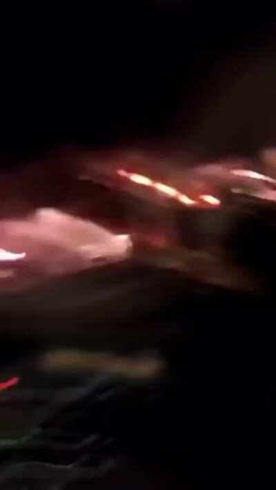 Trying to kill birds before launching your car like one