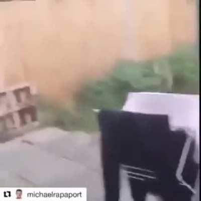 That's a weird fuckin' cat