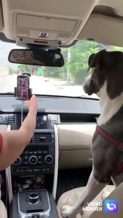 No Texting While Driving