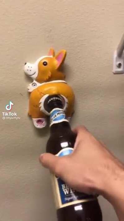 That is not a good idea