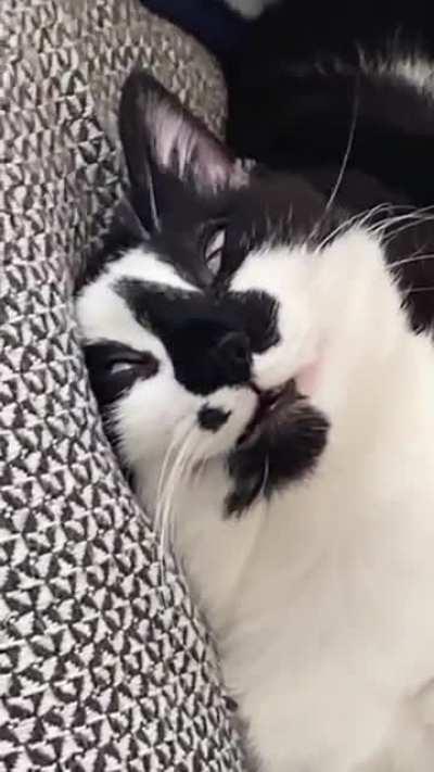 belial, behemoth, beelzebub, asmodeus, satanas, lucifer