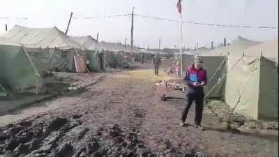 Клюквенная могилизация