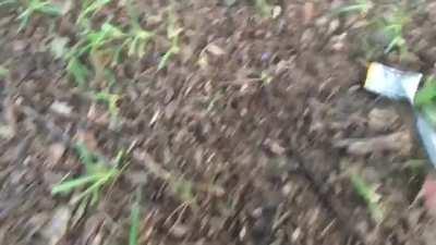 I was told to destroy the broke battery in my iPod so that’s exactly what I did