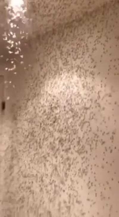 Maybe i should’ve closed the window.