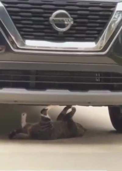 I'm concerned about the mechanic that is working on my car