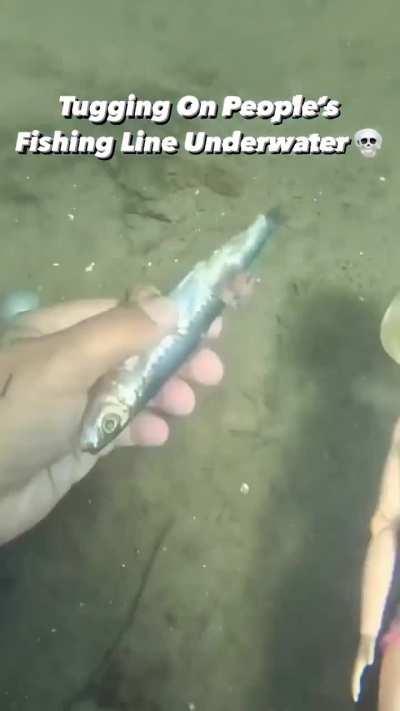 Is MC really doing nothing with his life to do stupid crap like this