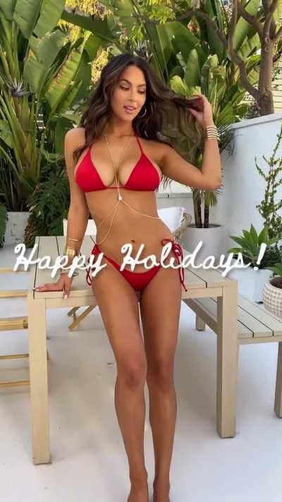 Happy Holidays