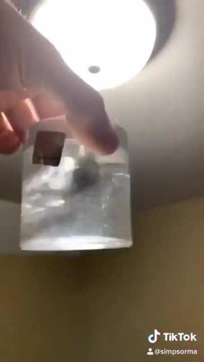 Gamer girl bathwater