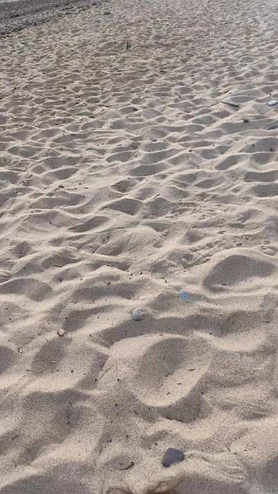 Sunset view with my good girl