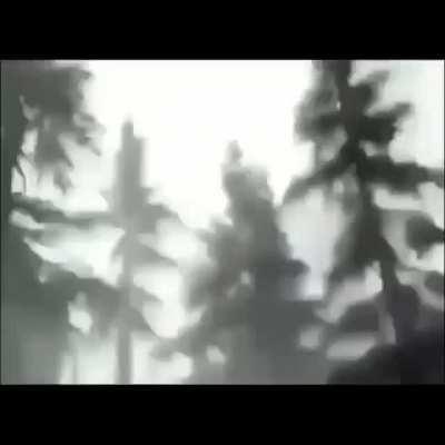 Y San Pedro? 👉 💦 👌