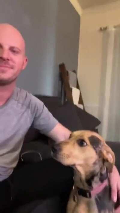 Can you guess which one is its favorite human?