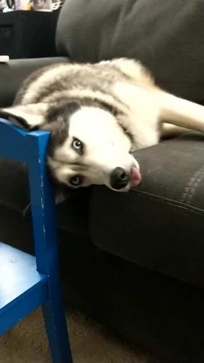 When your Moonmoon is stuck in an error state