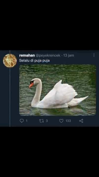 Menyanyikan Lagu Wajib 