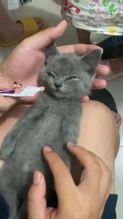 When you smell delicious food