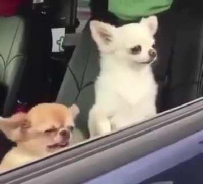 Wake up, we're there!