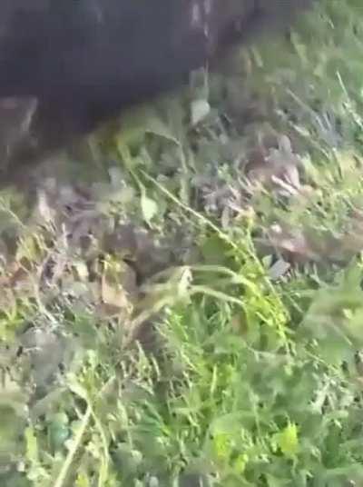 A certified farm classic