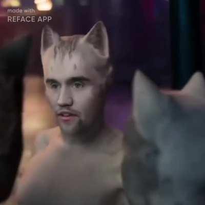 Charlie Kirk stars in Cats ⭐️ 🐈