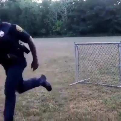 Different ways of hoping over a fence