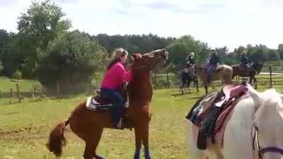 i think the horse had enough....