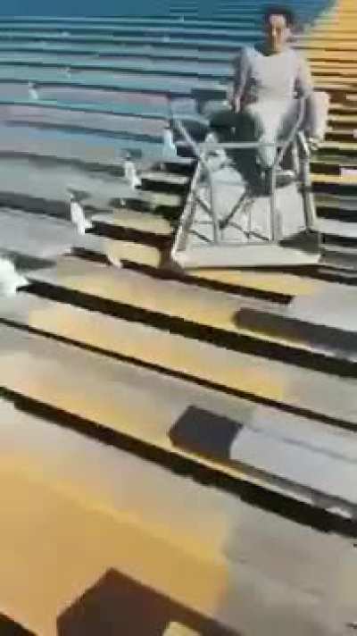 Guy slides down bleachers on a folding table