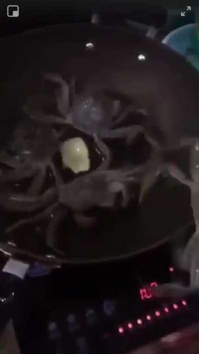 When a crab hop the frying pan to turn off the flame to save his bros.