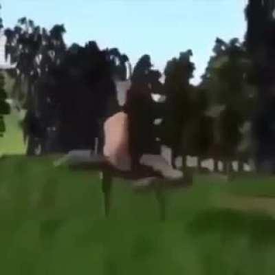 This is a deer moment