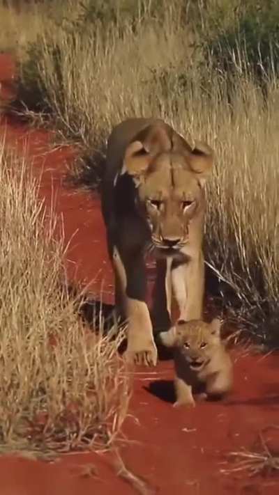 Not so fast little one.. 😅