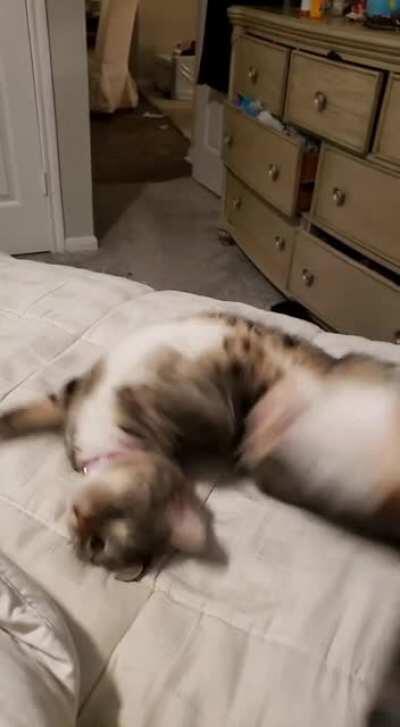 Every time I get home..