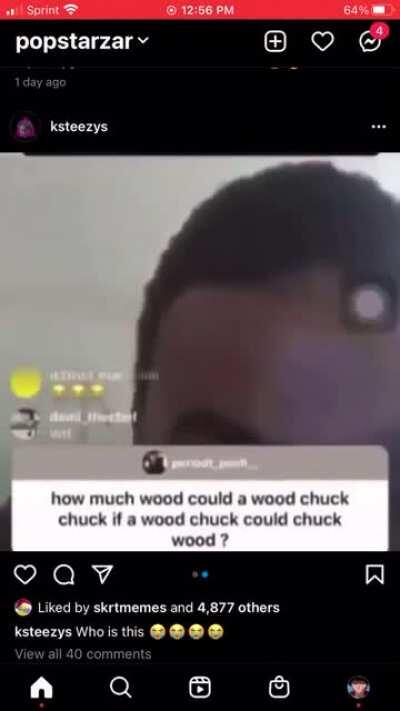 this has to be the dumbest nigga on ig