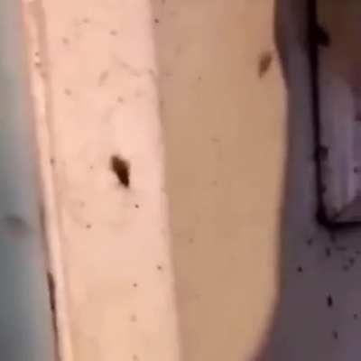 Не смотрите это. Пожалуйста! Листайте дальше! Я предупреждал...