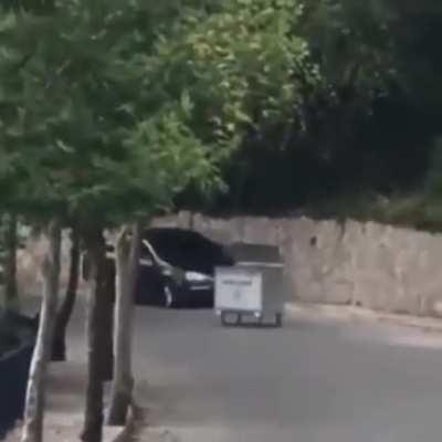 I swear I was being chased by a rubbish container!