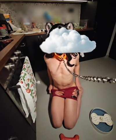 did I earn a treat? 🐶