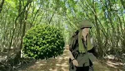 BeelcitosMemes - Video #8891