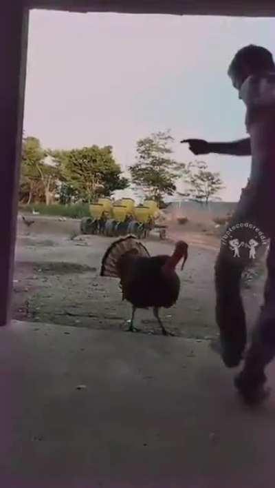 Recebi a primeira parcela do 13° !!!  