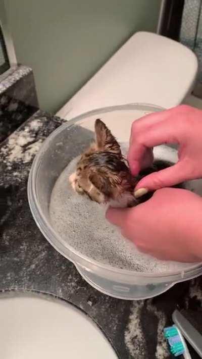 Big yell, Smol package