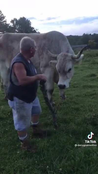 “You’re a good man, Tommy”